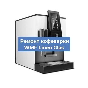 Чистка кофемашины WMF Lineo Glas от накипи в Воронеже